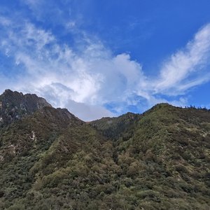 你是我情愿以身犯的险