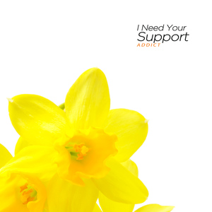 마음이 향하는 곳