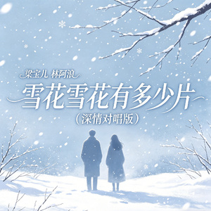 雪花雪花有多少片（深情对唱版）