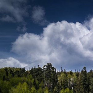 说来说去还放不下你