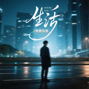 生活(凌晨的路灯陪我回家)