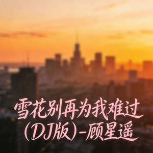 雪花别再为我难过(DJ版)