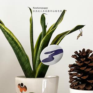 任杰说人生就像部公路电影take6mix