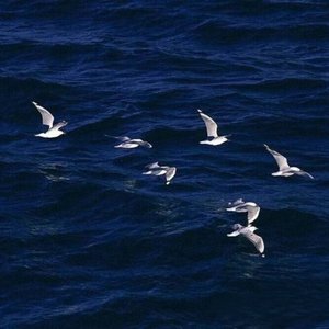 还会回来吗（prod by FRESH_ye）