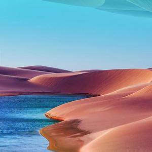 沙漠中的音乐 (2)