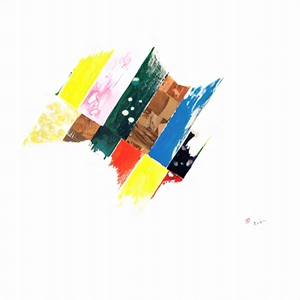 The Göttingen Cadenza