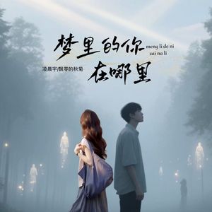 梦里的你在哪里（对唱）