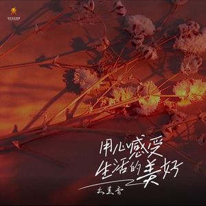 用心感受生活的美好-大美香