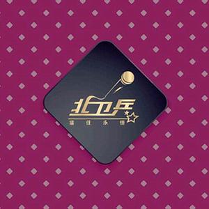 夜光下的战友－致敬版 ( 北 卫 兵 )