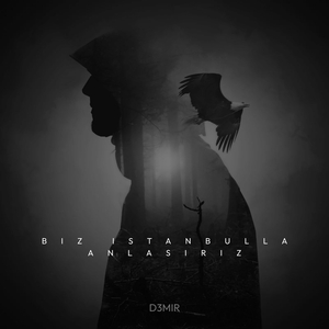 Biz Istanbulla Anlaşırız