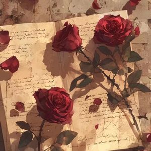 回森_QQ浏览器格式转换_QQ浏览器转格式