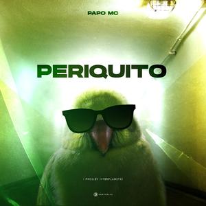 PERIQUITO