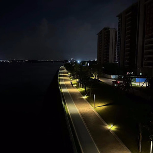 白乌鸦（Prod by Lil Siren）