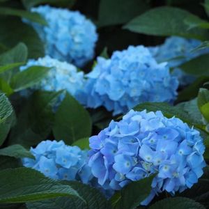 无尽夏的开始（Demo）