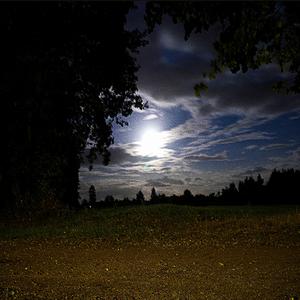 Until Dawn (feat. TAILAND)