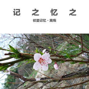 V.A. / 澤野弘之-A-β（remix：aLIEz+βios）（初夏记忆·离殇 remix）