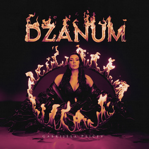 Dzanum