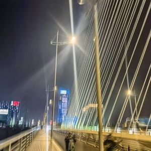 暗涌标本