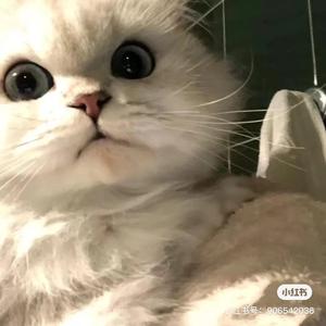 会呼吸的痛（翻自梁静茹）