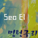 멍텅구리 (MR)