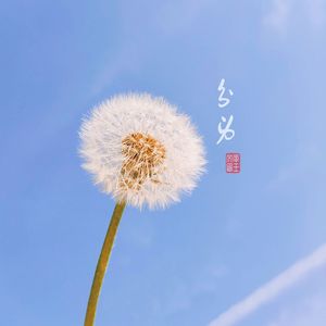 分身