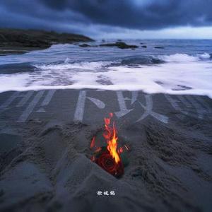 埋下玫瑰
