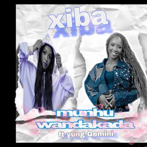 Munhu wandakada (feat. Young Gemini)