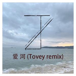 蒋雪儿-爱河（Tovey remix）