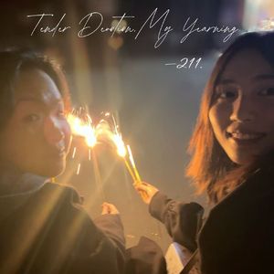 《TDMY-211》