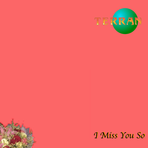 I Miss You So