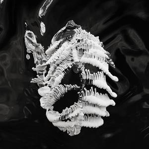 Carnivore