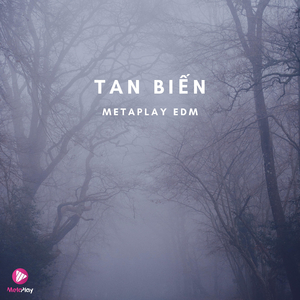 Tan Biến (Metaplay EDM)