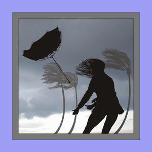 And So The Story Goes