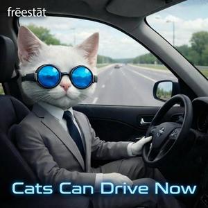 Cats Can Drive Now
