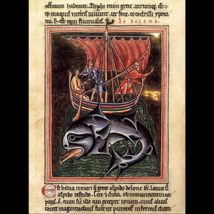 There Is Always a Reason for That You Call It