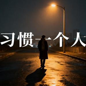 习惯一个人