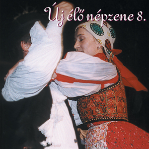 Érpataki Népdalok Citerán