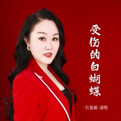 受伤的白蝴蝶