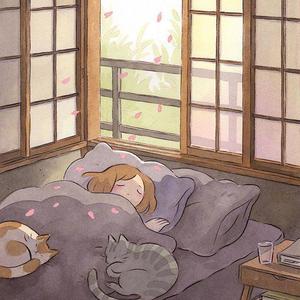 我没去过施桥镇但我去过油坊街