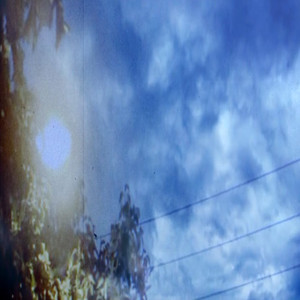 可是我还没有来得及死去