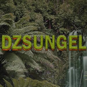 Dzsungel (feat. Blake)