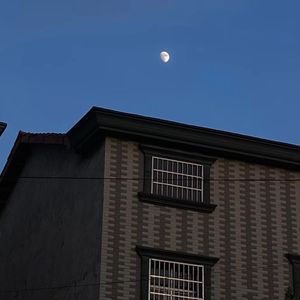 走马