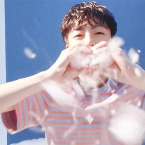 1.1 - - 输出 - Stereo Out_12