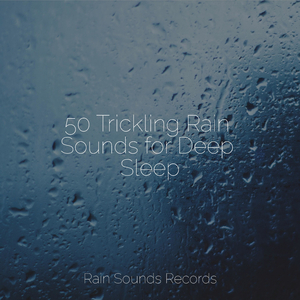 Tranquil Waterside Symphony