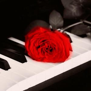 残缺的人偶Remix（翻自 恐怖美术馆）