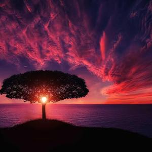 Commander (feat. Stevomega)