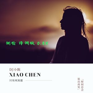 侧脸（降调版 0.8x）