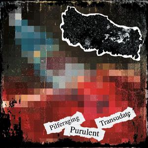 Pilferaging Purulent Transudate (Split W/ USERZOMBI)