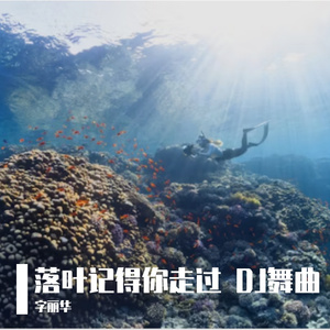 落叶记得你走过 DJ舞曲
