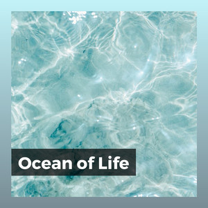 Honorarium Ocean